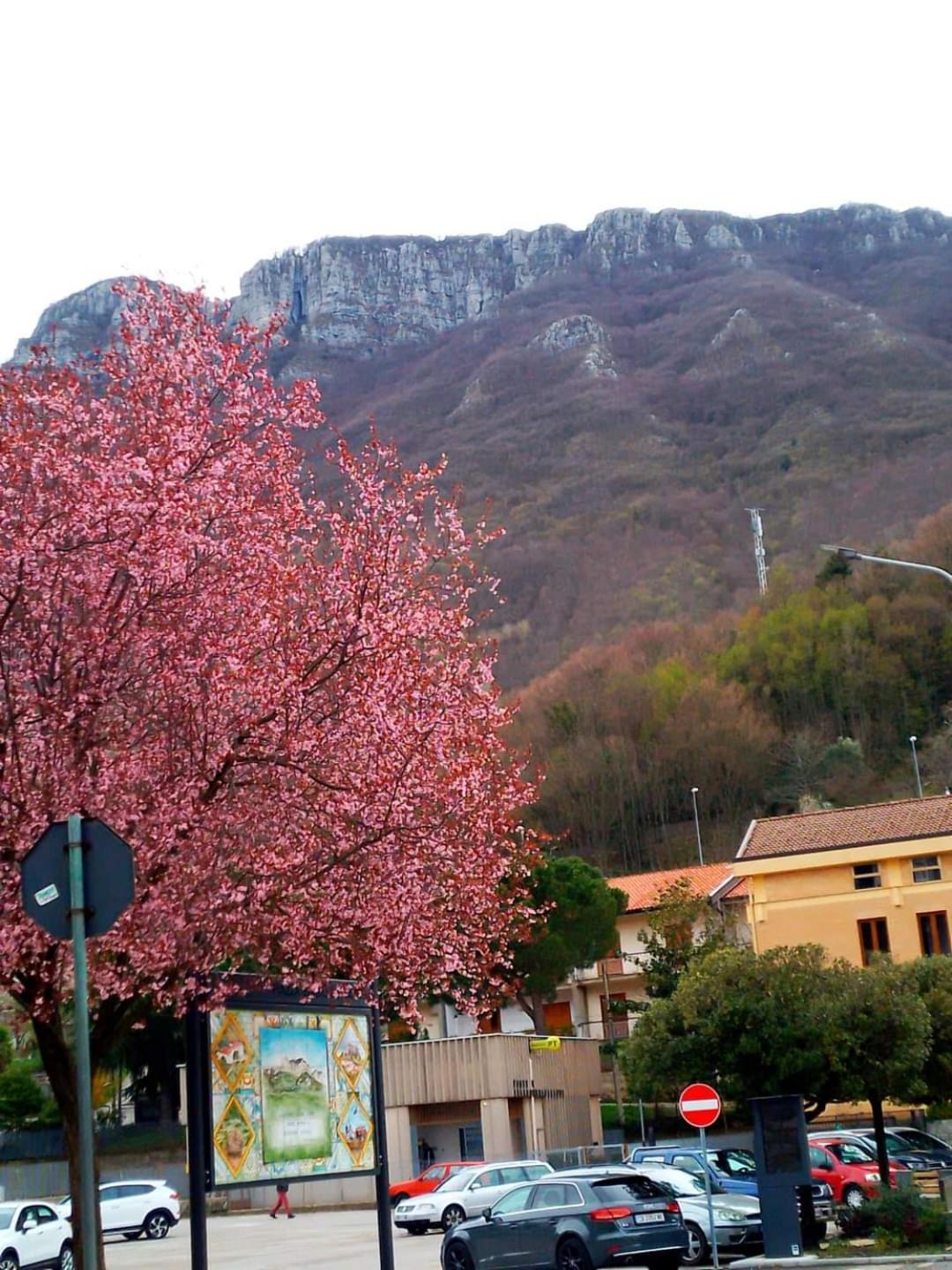 Sapori E Sapere Di Troisi Margherita Sicignano degli Alburni Exteriér fotografie