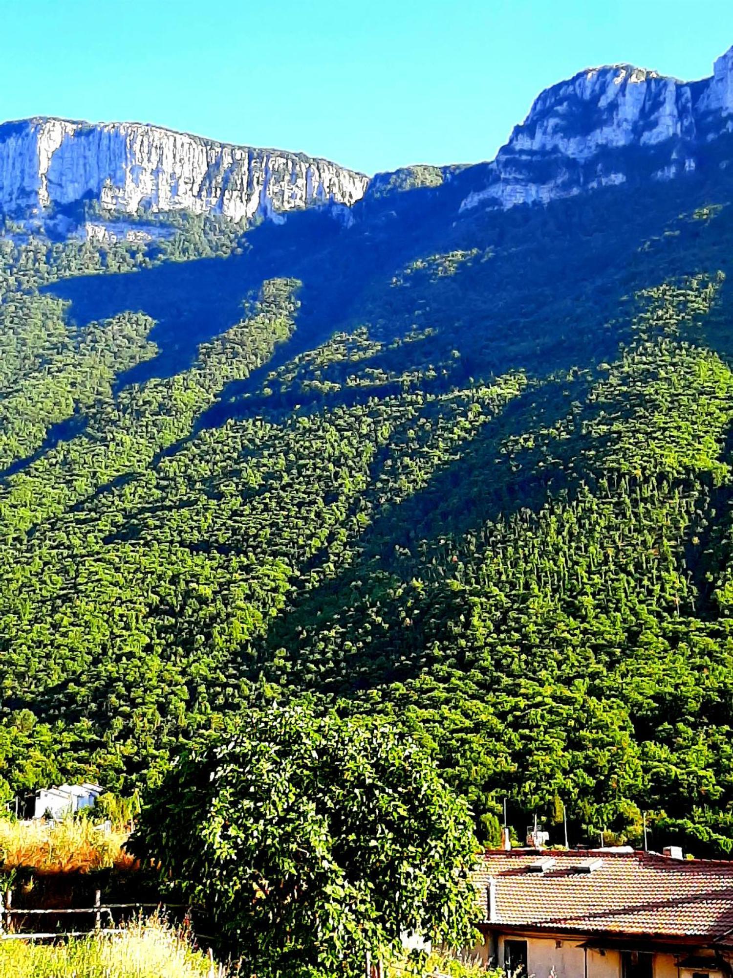 Sapori E Sapere Di Troisi Margherita Sicignano degli Alburni Exteriér fotografie